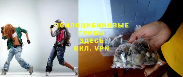 спиды Аркадак