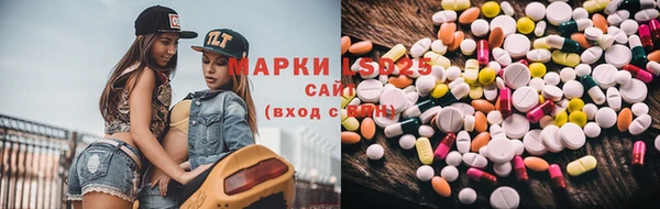 спайс Няндома