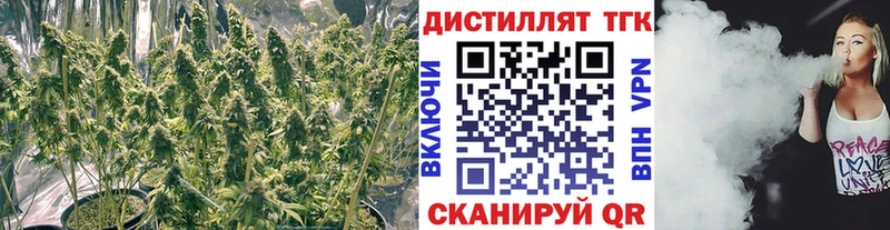 Дистиллят ТГК THC oil  Миллерово 