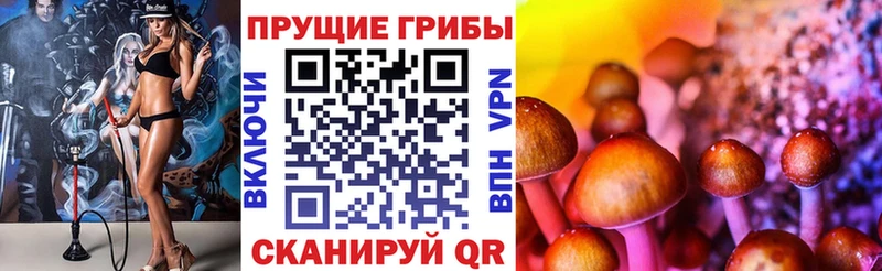 наркошоп  Миллерово  Галлюциногенные грибы прущие грибы 