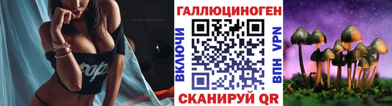 Галлюциногенные грибы Psilocybe Миллерово